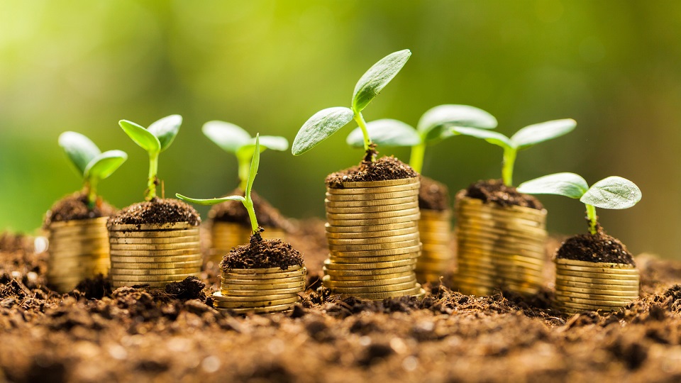 農(nóng)產(chǎn)品電商帶貨短視頻營(yíng)銷(xiāo) 農(nóng)產(chǎn)品電商帶貨短視頻營(yíng)銷(xiāo)