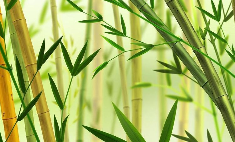 加入電商代運(yùn)營的原因是 加入電商代運(yùn)營的原因是