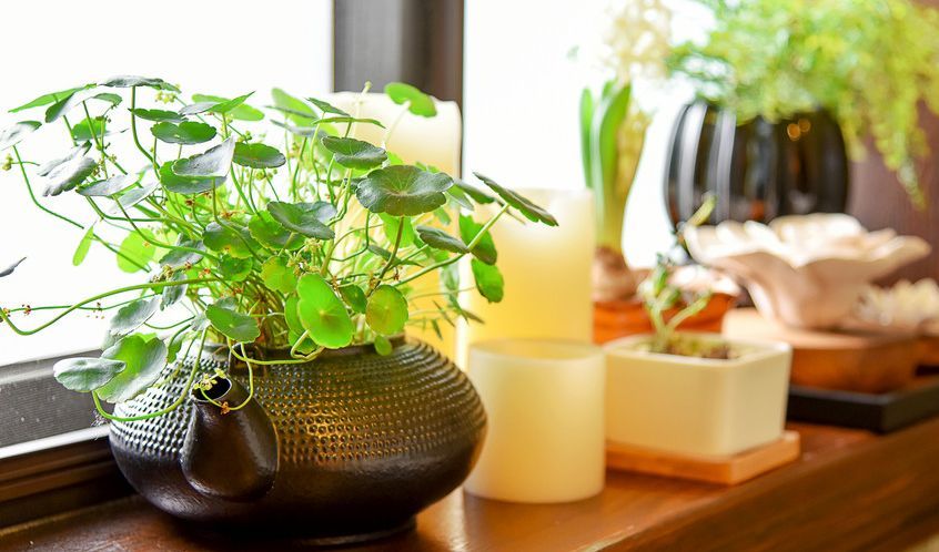 加入電商代運(yùn)營的原因是 加入電商代運(yùn)營的原因是