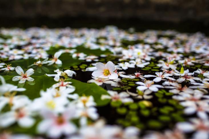上海短視頻代運營公司 上海短視頻代運營公司