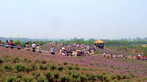 農(nóng)業(yè)品牌策劃能給公司帶來什么利益呢？