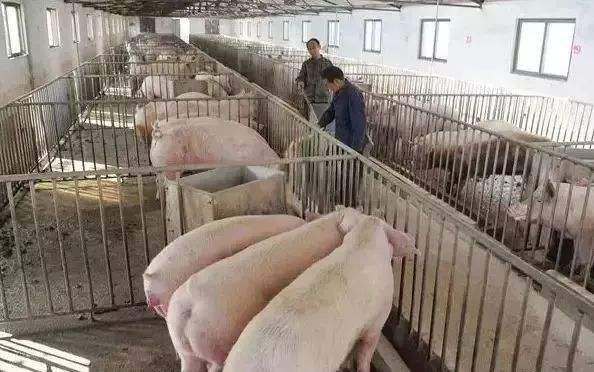 農業(yè)品牌定位