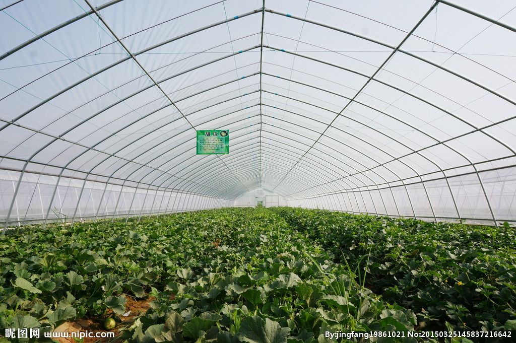 農業(yè)品牌策劃