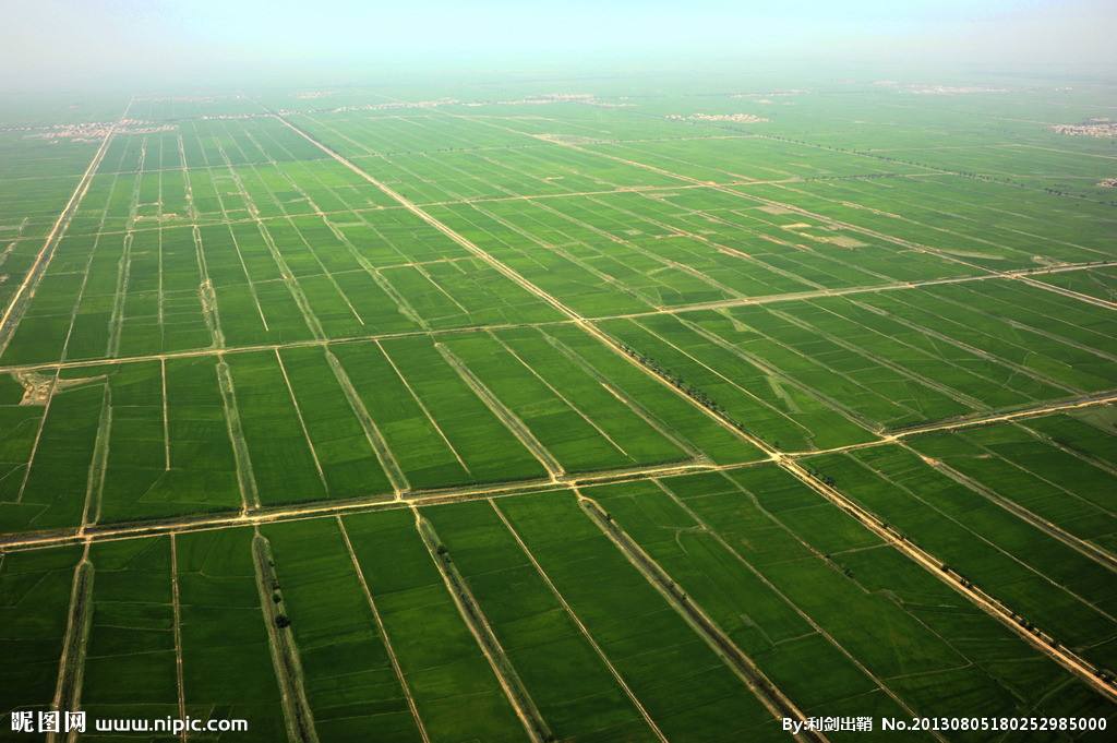 農(nóng)業(yè)品牌策劃 農(nóng)業(yè)品牌策劃