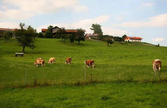 農(nóng)業(yè)品牌定位