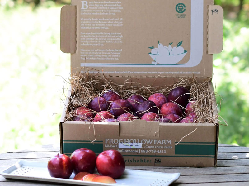 農(nóng)產(chǎn)品水蜜桃包裝設(shè)計欣賞 農(nóng)產(chǎn)品水蜜桃包裝設(shè)計欣賞