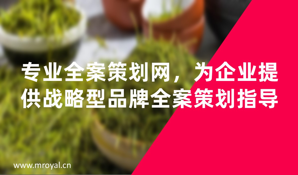 專業(yè)全案策劃網，為企業(yè)提供戰(zhàn)略型品牌全案策劃指導