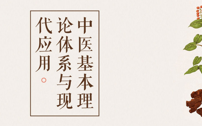 行業(yè)分析3 中醫(yī)理療品牌全案策劃