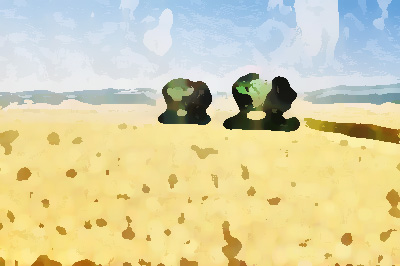 農(nóng)業(yè)公司品牌形象提升，實現(xiàn)農(nóng)業(yè)增效、農(nóng)民增收