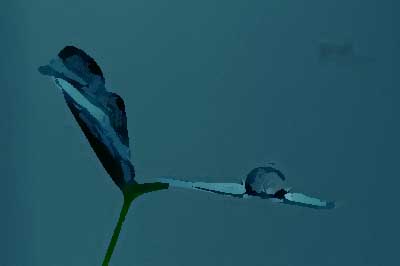 餐飲品牌設(shè)計(jì)的突破點(diǎn)有哪些？