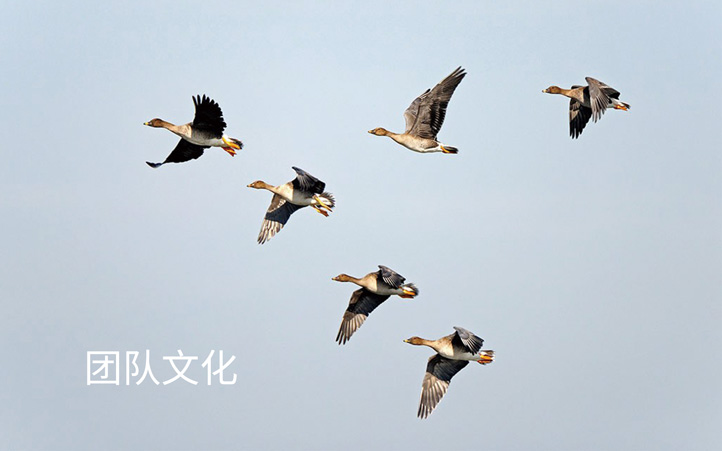 醫(yī)藥行業(yè)logo設計