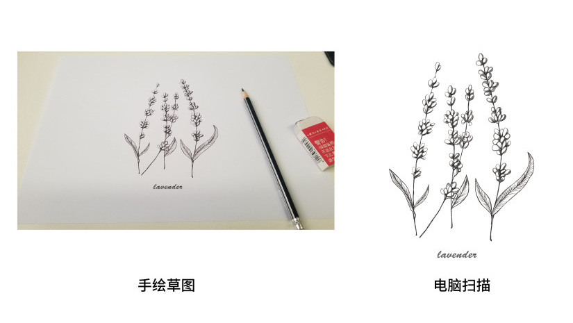 精油品牌logo設(shè)計(jì)