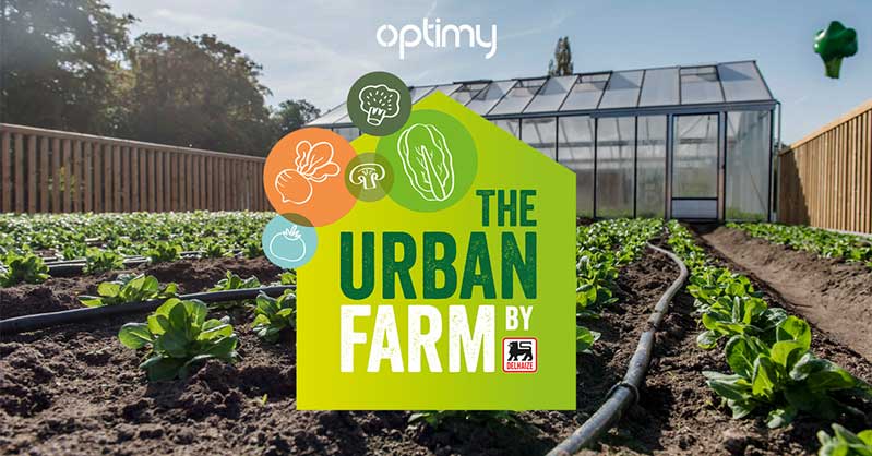 一套時(shí)尚的農(nóng)業(yè)品牌設(shè)計(jì)，設(shè)計(jì)簡潔明了，用色鮮明，讓人看了過目不忘，值得搞農(nóng)業(yè)品牌朋友學(xué)習(xí)交流。