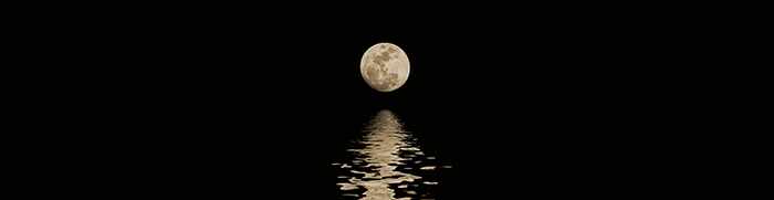 高端餐飲品牌設計