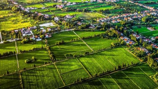 如何做好農(nóng)業(yè)形象升級？