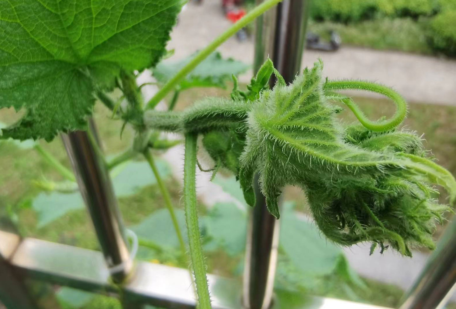 農(nóng)產(chǎn)品公司如何策劃有競(jìng)爭(zhēng)力的品牌定位