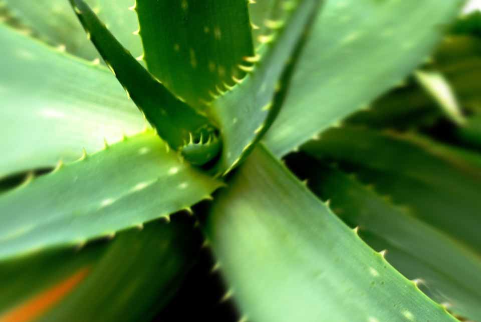 未標(biāo)題-2.jpg 未標(biāo)題-2.jpg