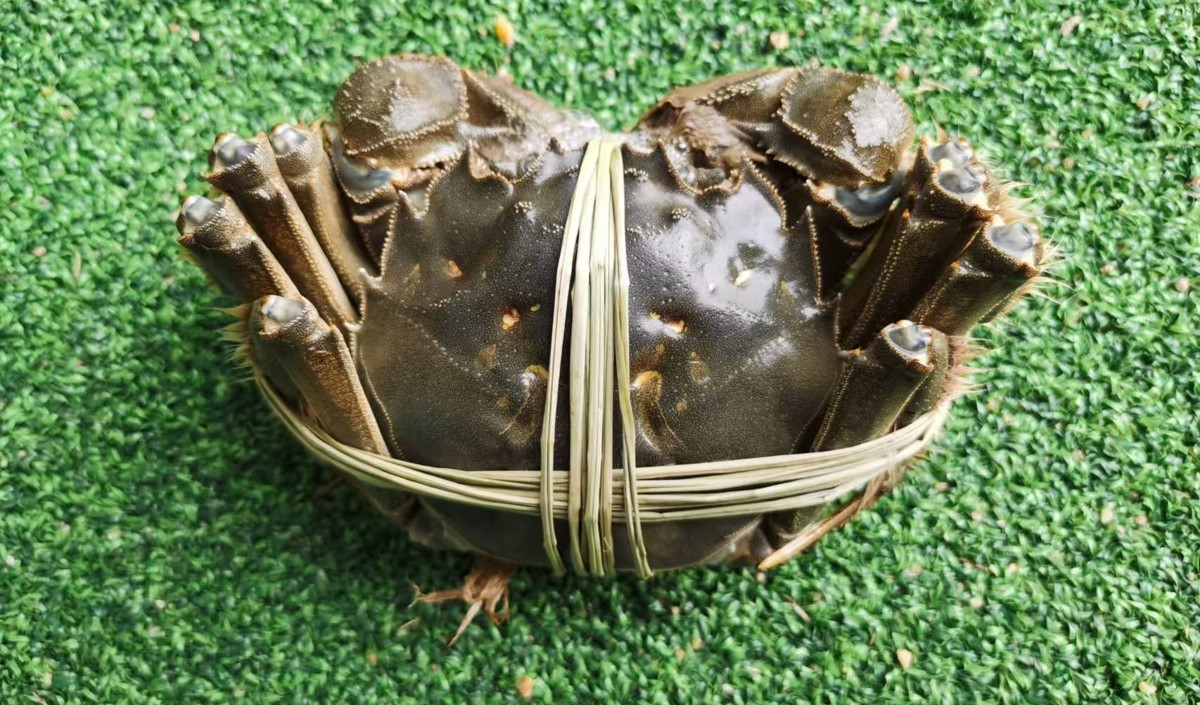 中秋節(jié)前的大閘蟹品牌營(yíng)銷策劃方案 中秋節(jié)前的大閘蟹品牌營(yíng)銷策劃方案