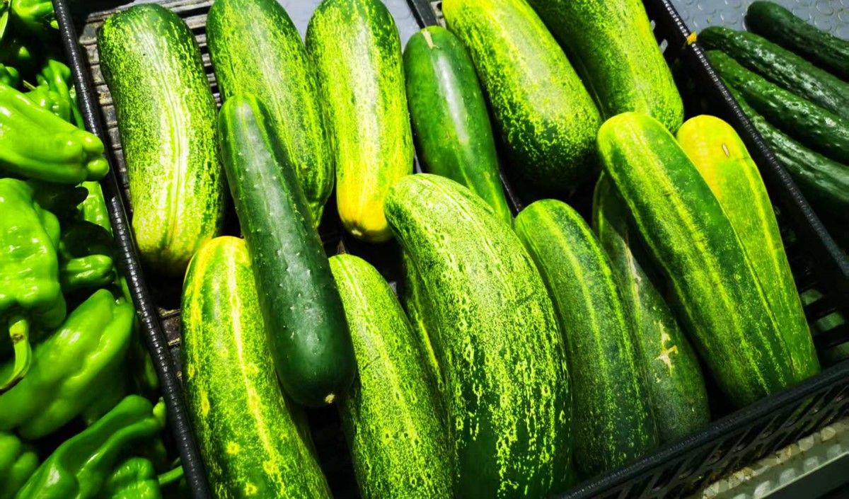 農(nóng)產(chǎn)品黃瓜營銷策劃指南-重塑黃瓜產(chǎn)業(yè)價(jià)值鏈條