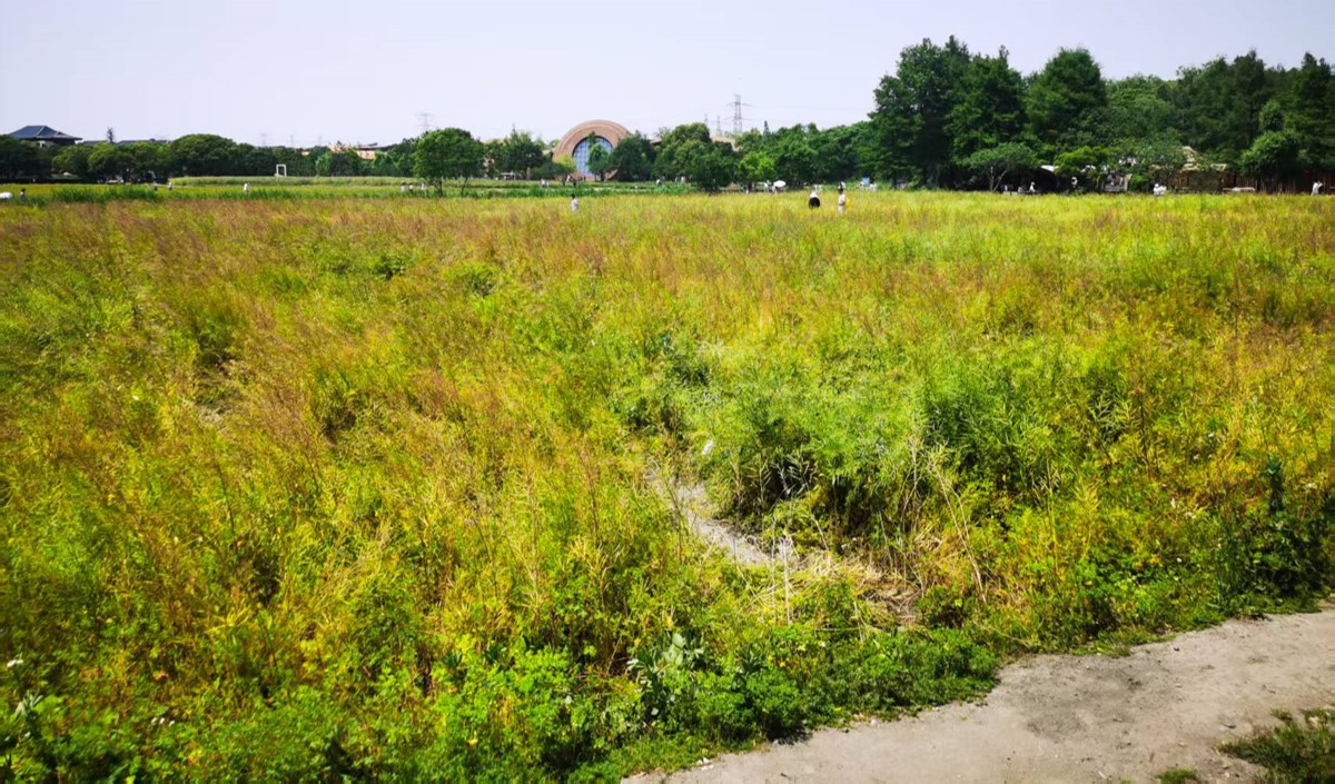 近郊農(nóng)業(yè)公司如何打造高端現(xiàn)代農(nóng)業(yè)品牌？