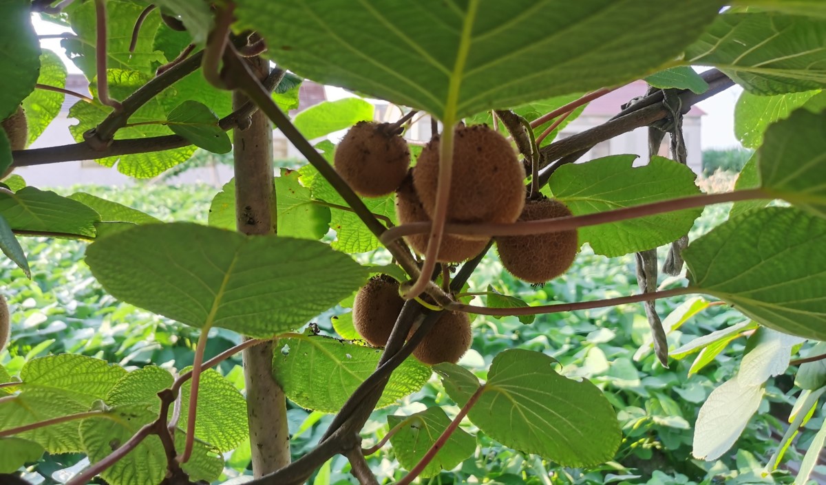 網(wǎng)站用圖片模板386.jpg 網(wǎng)站用圖片模板386.jpg